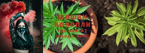 спиды Балахна